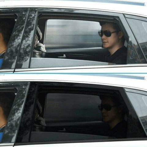 Expandable Sunshade for Car