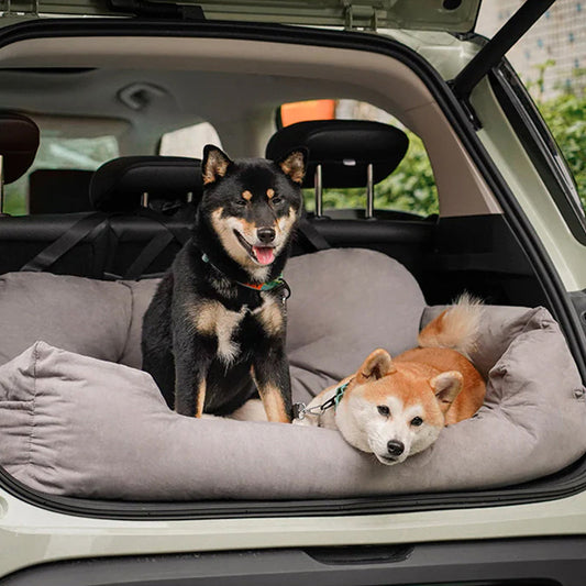 Travel Dog Sofa — Comfort and Safety in the Car 