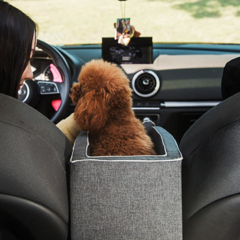 Scaun Auto Pentru Animale — Transport Sigur Și Confortabil 