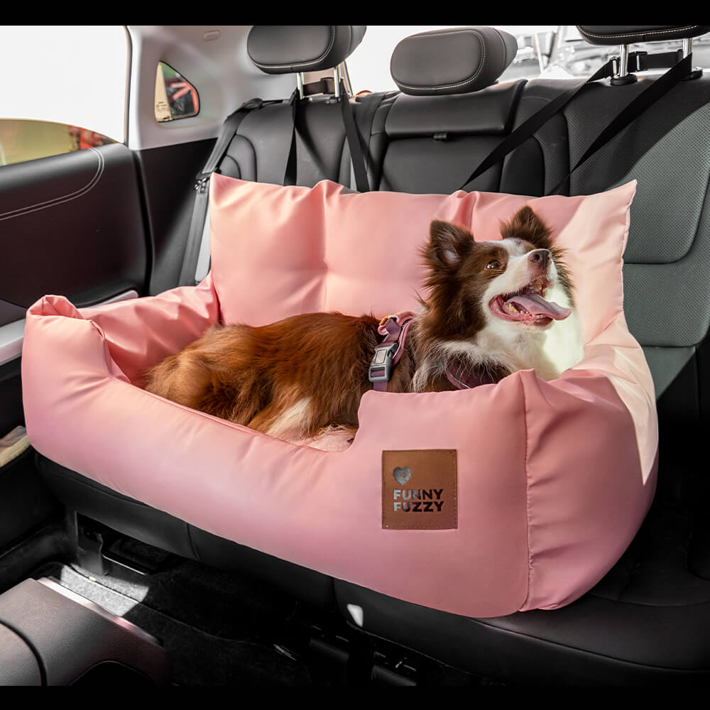 Dog Car Seat — Travel Together Safely 