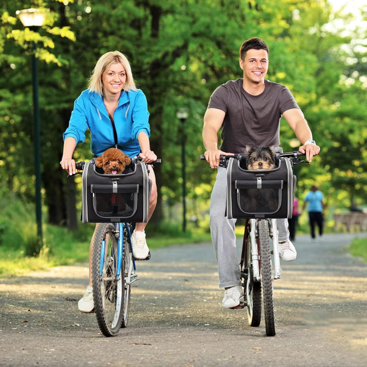 Pet Carrier for Animals — Ideal for Small Dogs and Cats 