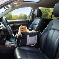 Dog Transport Basket — Comfort and Safety While Traveling 