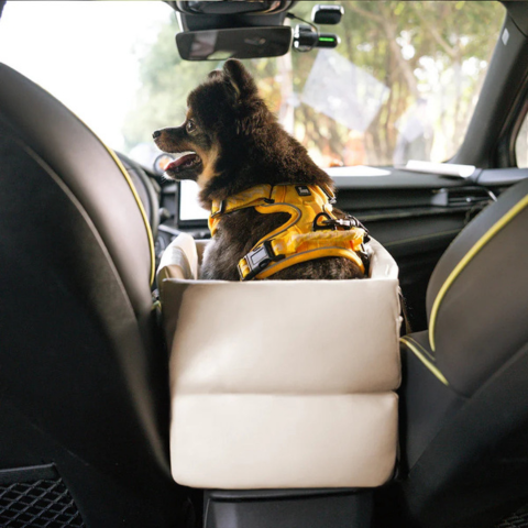 Car Basket for Small Dog — Safety and Comfort in the Car 