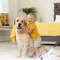 High Pressure Steam Cleaner 2500W — Powerful & Eco-friendly 