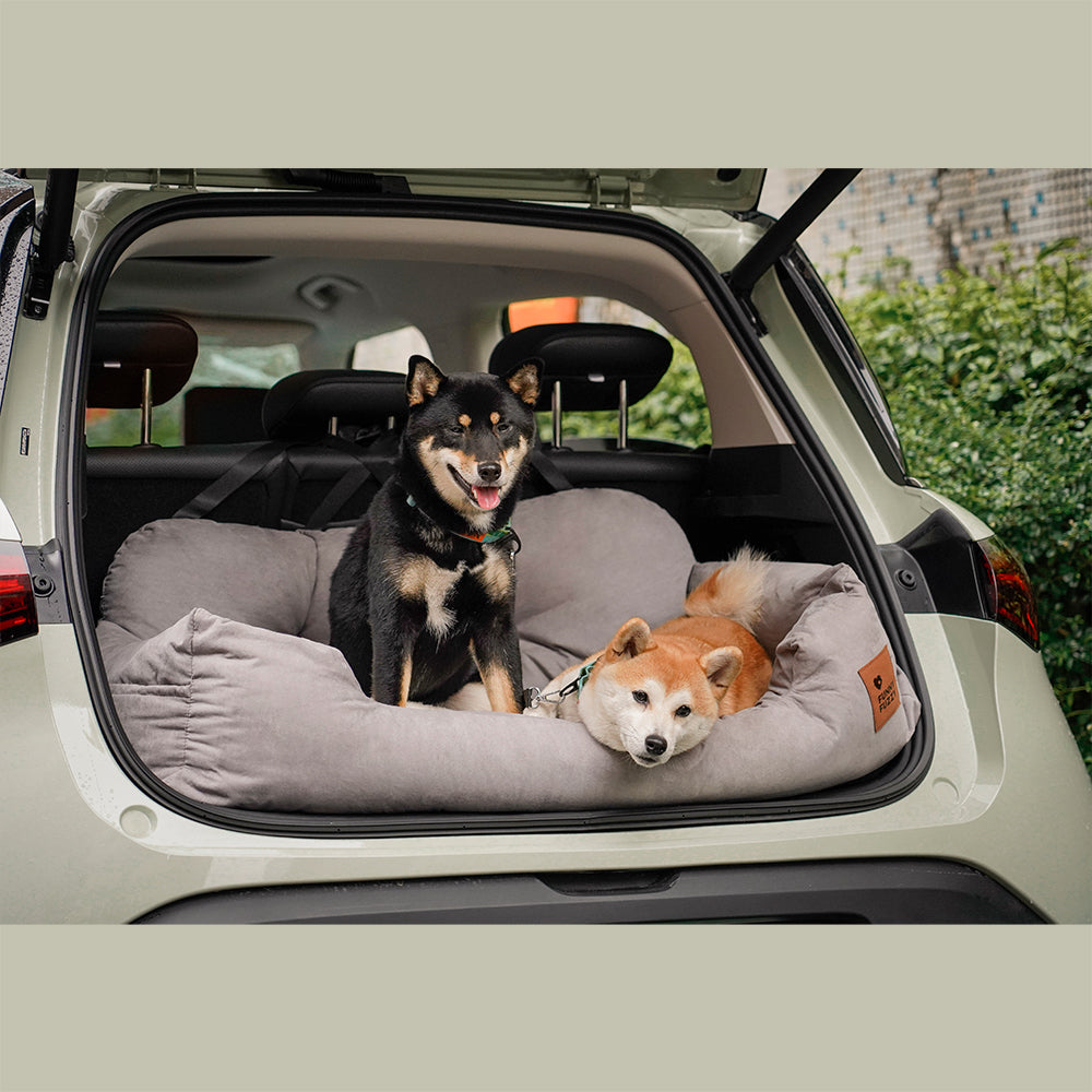Dog Car Seat — Travel Together Safely 