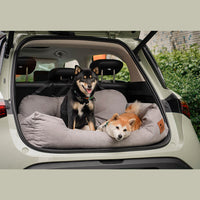 Dog Car Seat — Travel Together Safely 