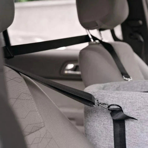 حقيبة سفر للسيارة للكلب - مثالية للرفاق الصغار 