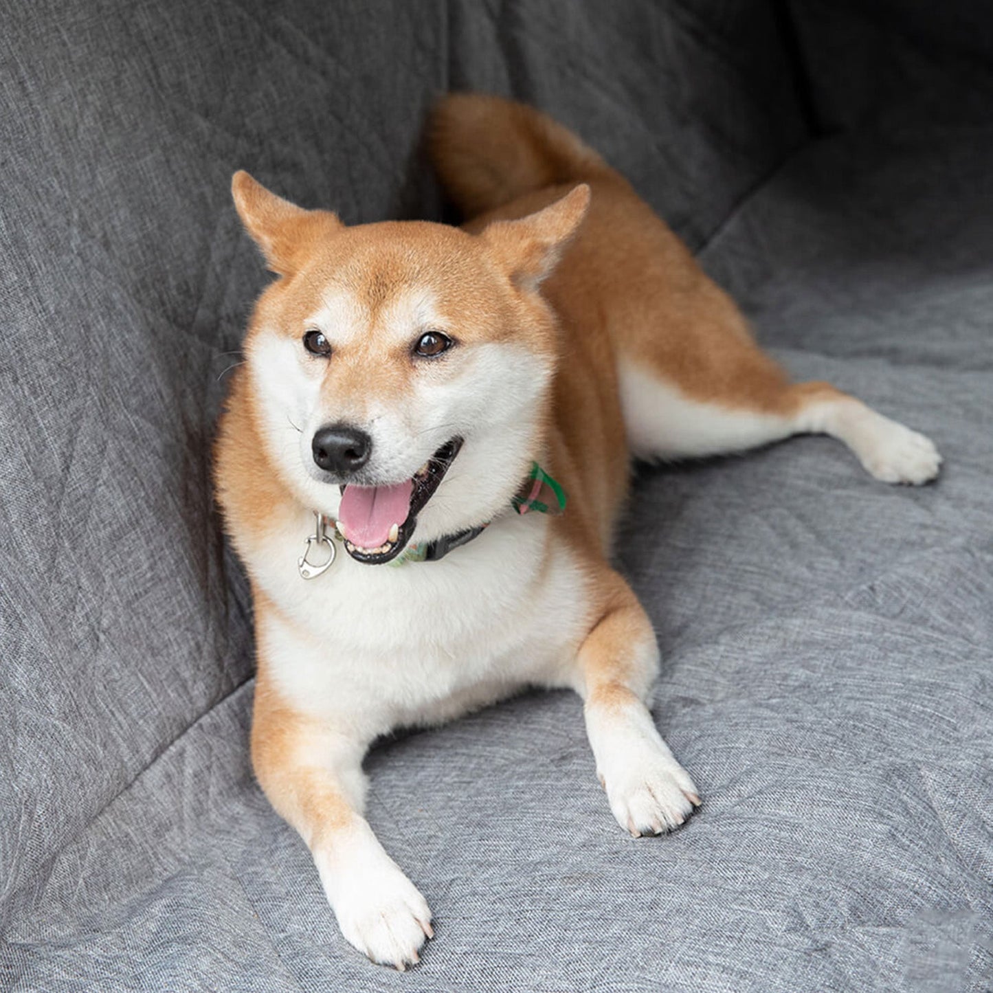 Waterproof And Scratch-Resistant Car Seat Cover For Dogs 